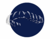 Allineatori di contenzione Spark™